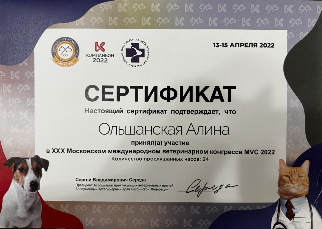Документ или сертификат