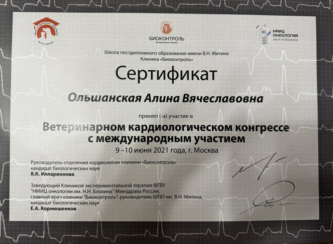 Документ или сертификат