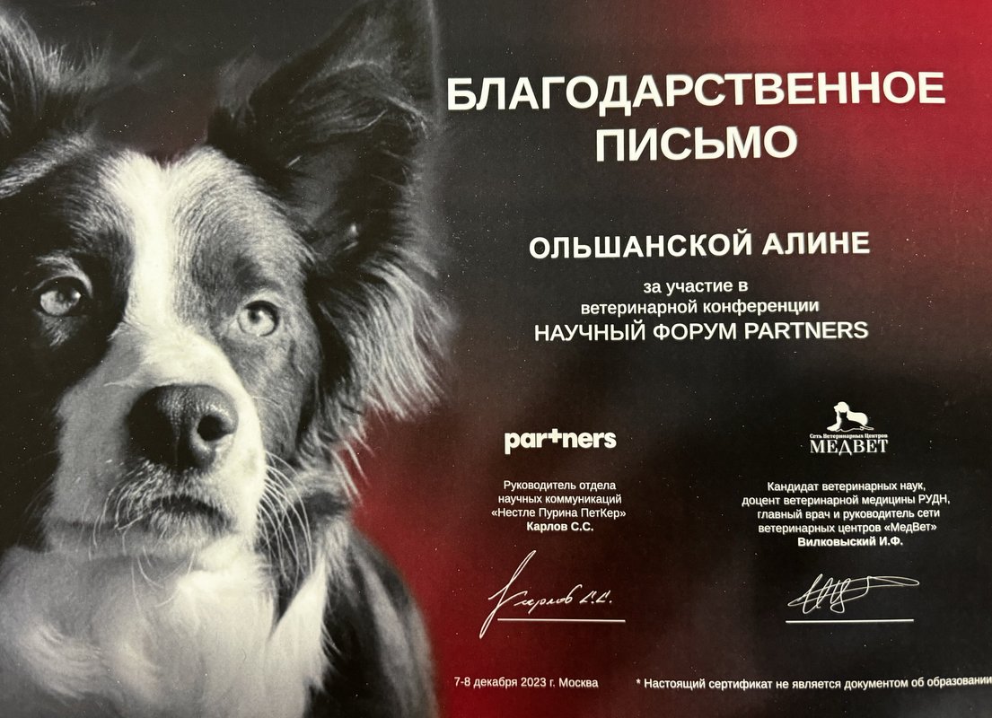 Документ или сертификат