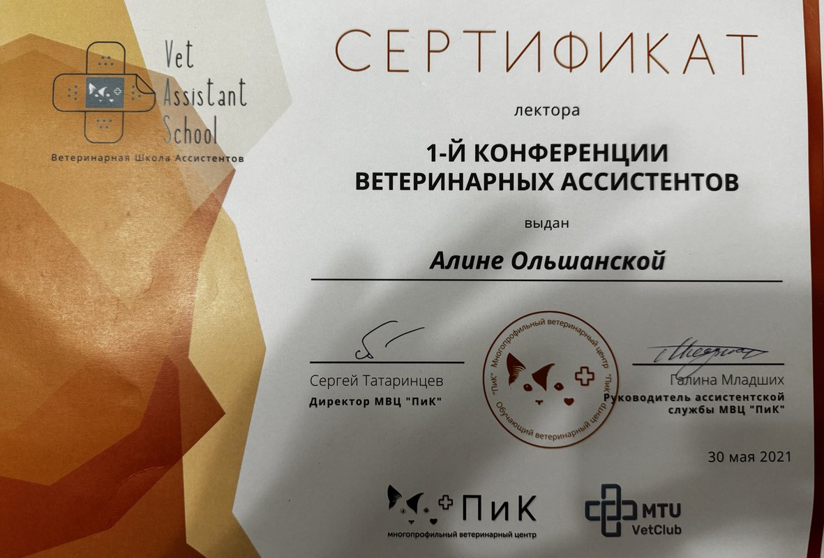 Документ или сертификат