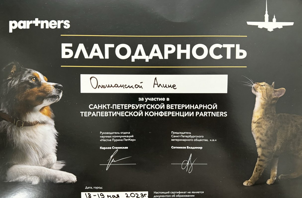 Документ или сертификат