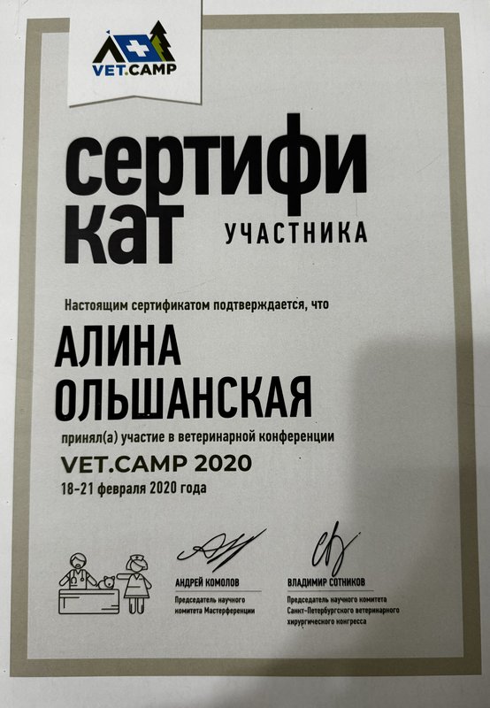 Документ или сертификат