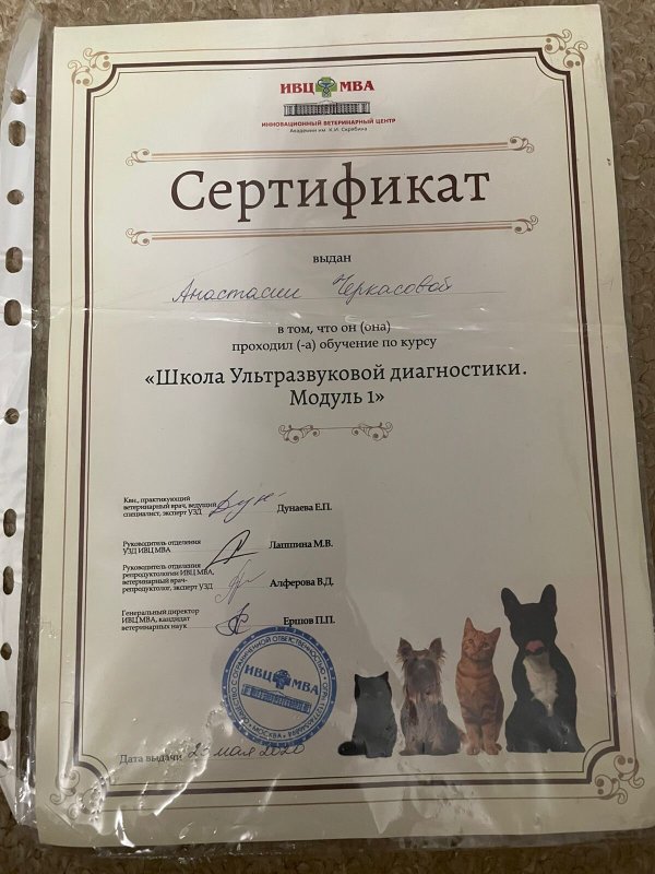 Документ или сертификат