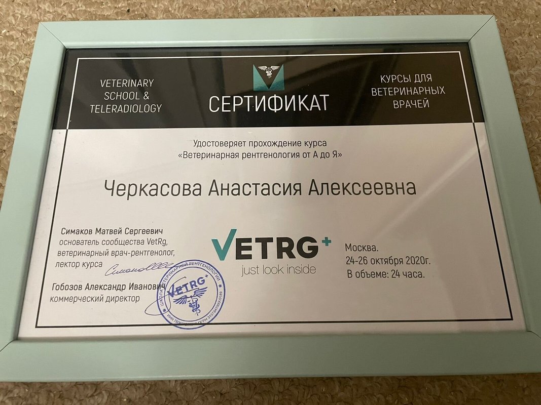 Документ или сертификат
