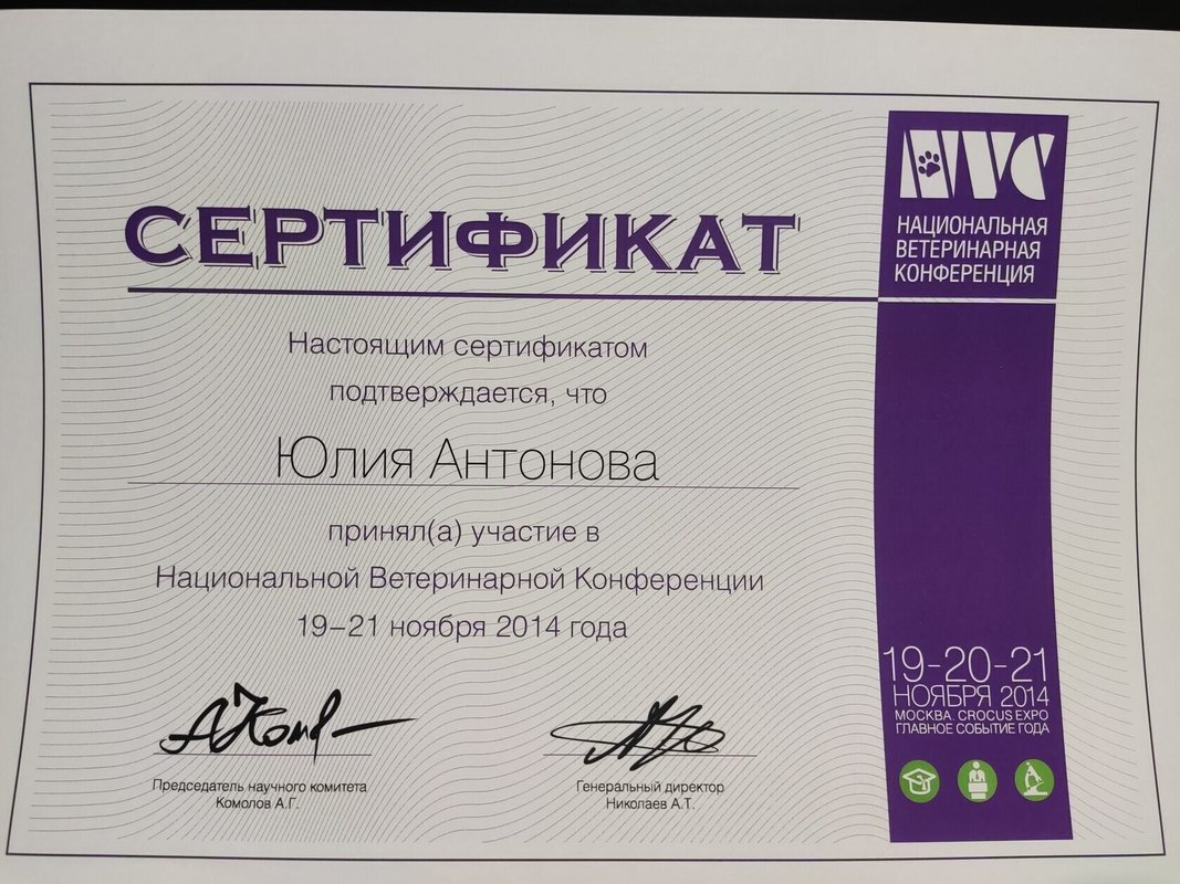 Документ или сертификат