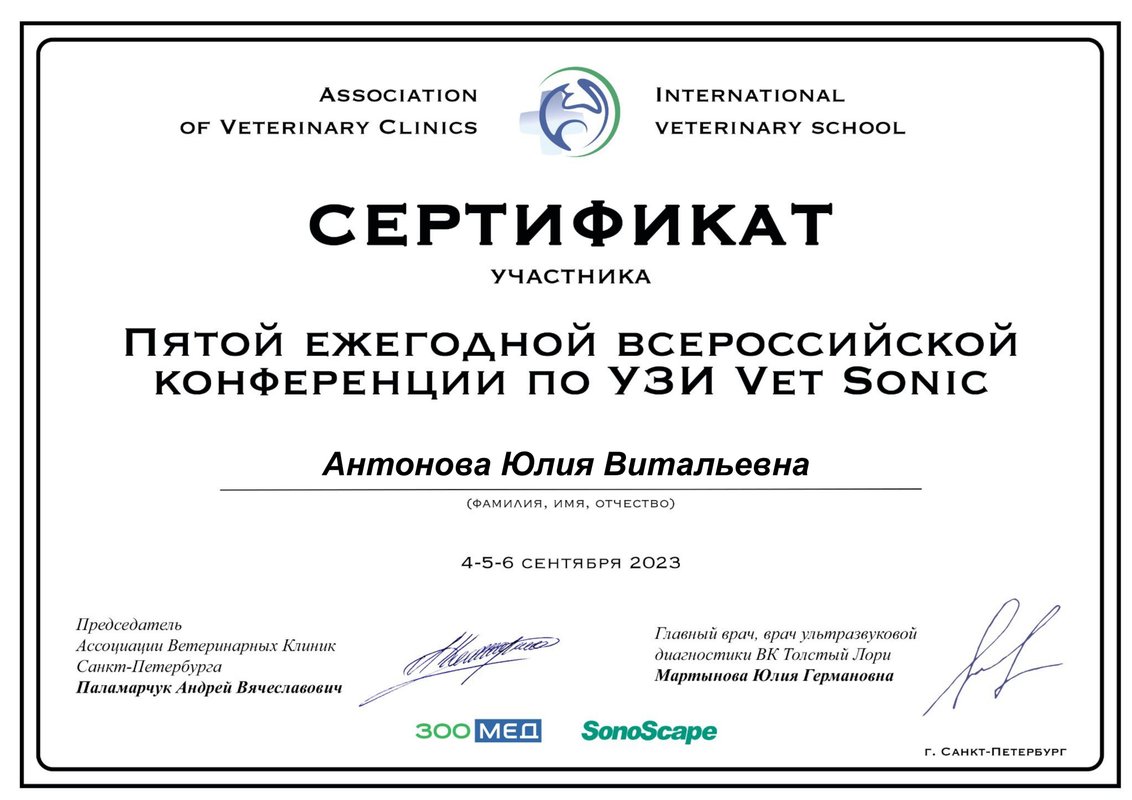 Документ или сертификат