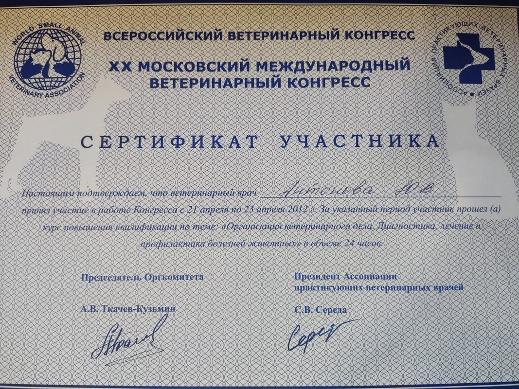 Документ или сертификат