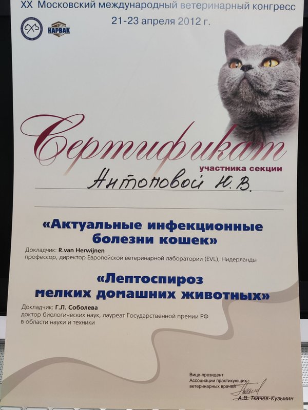 Документ или сертификат