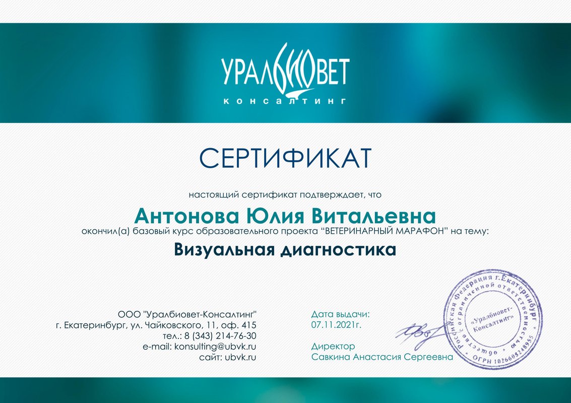 Документ или сертификат