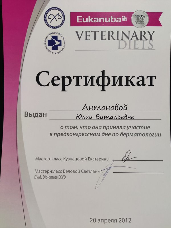 Документ или сертификат