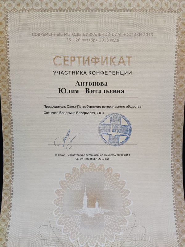 Документ или сертификат