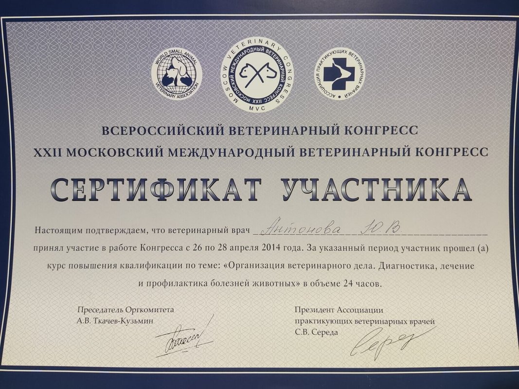 Документ или сертификат