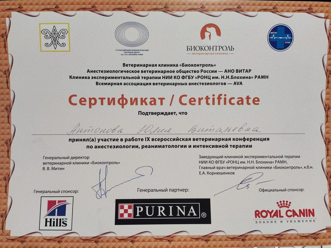 Документ или сертификат