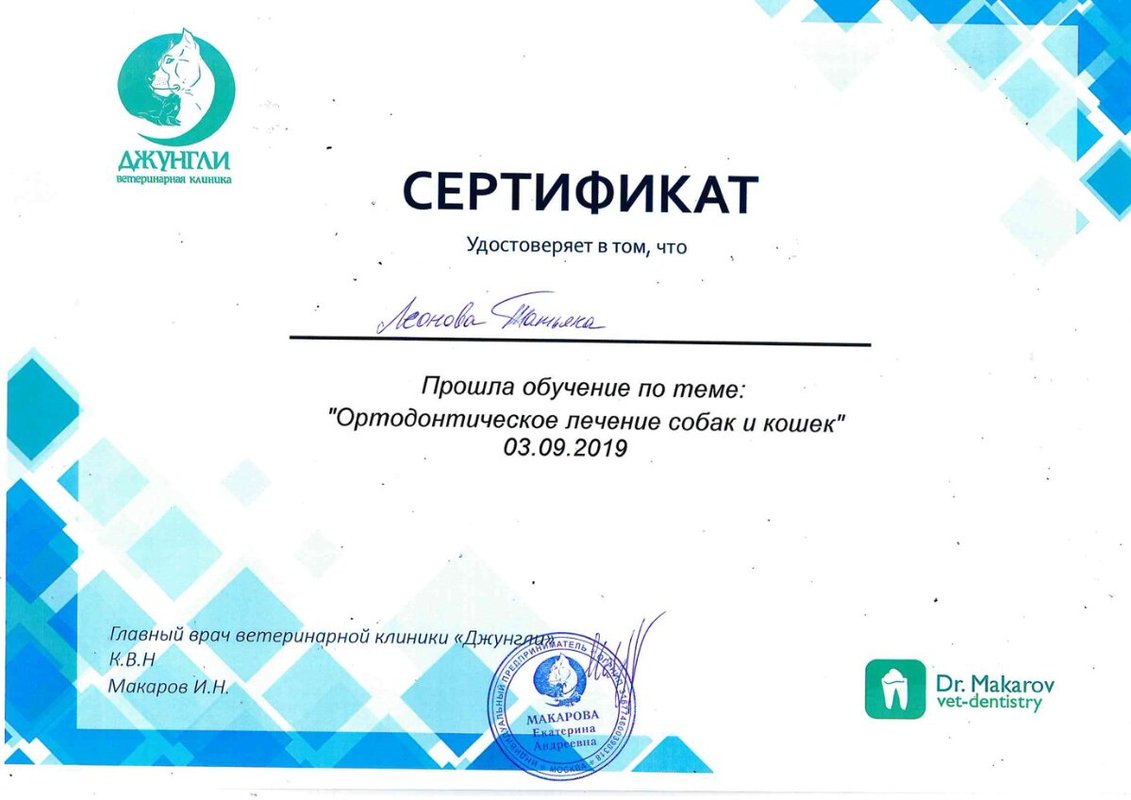 Документ или сертификат