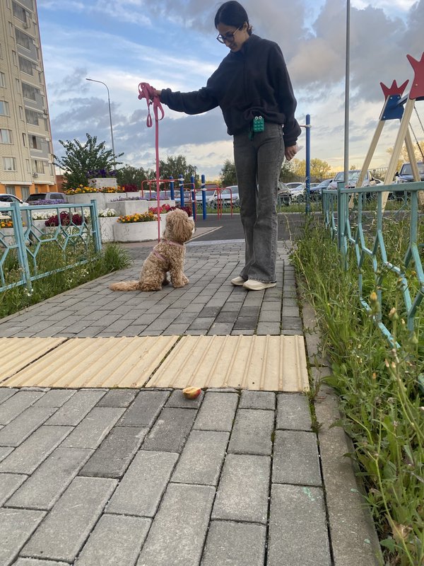 Фото врача
