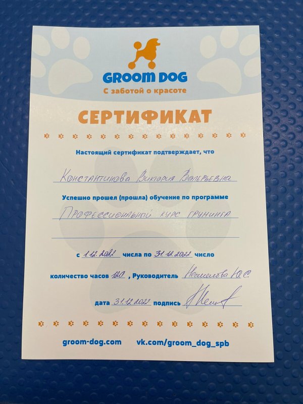 Документ или сертификат