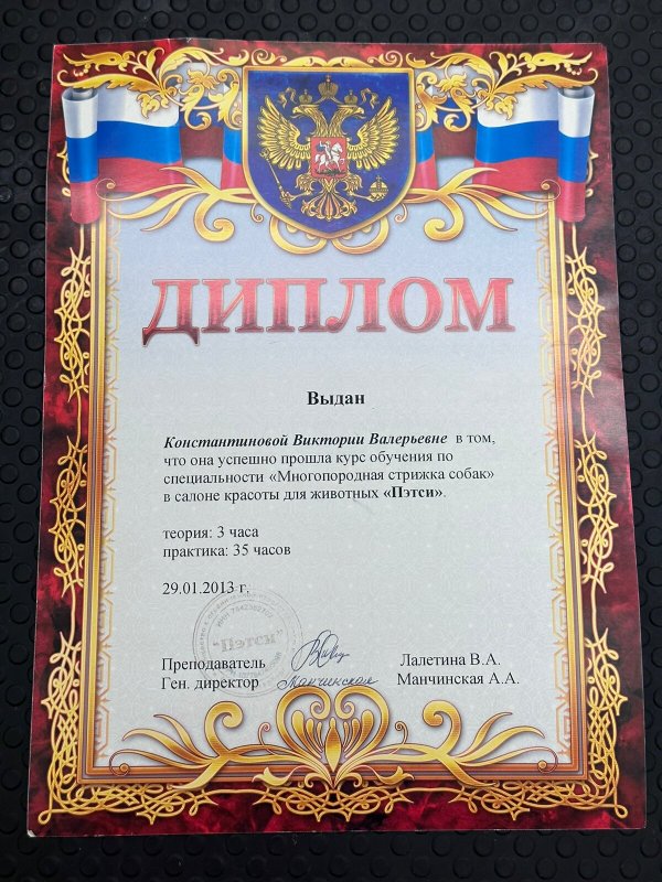 Документ или сертификат