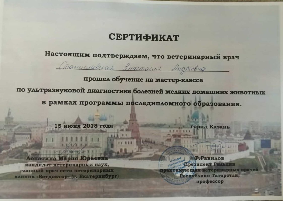Документ или сертификат