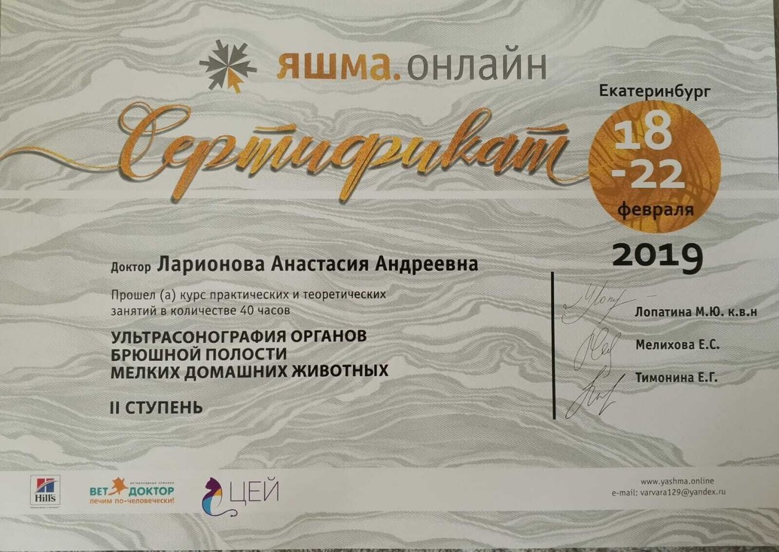 Документ или сертификат