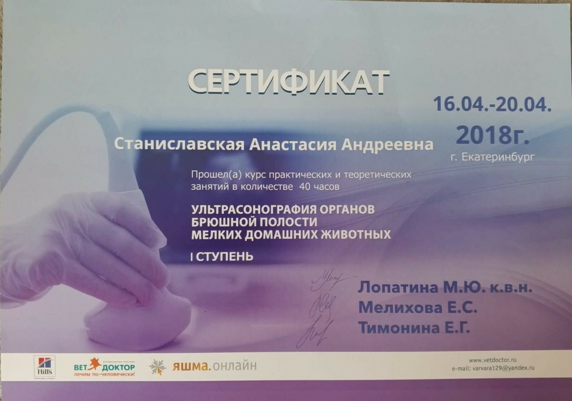 Документ или сертификат