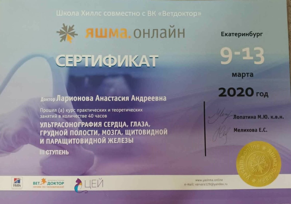 Документ или сертификат