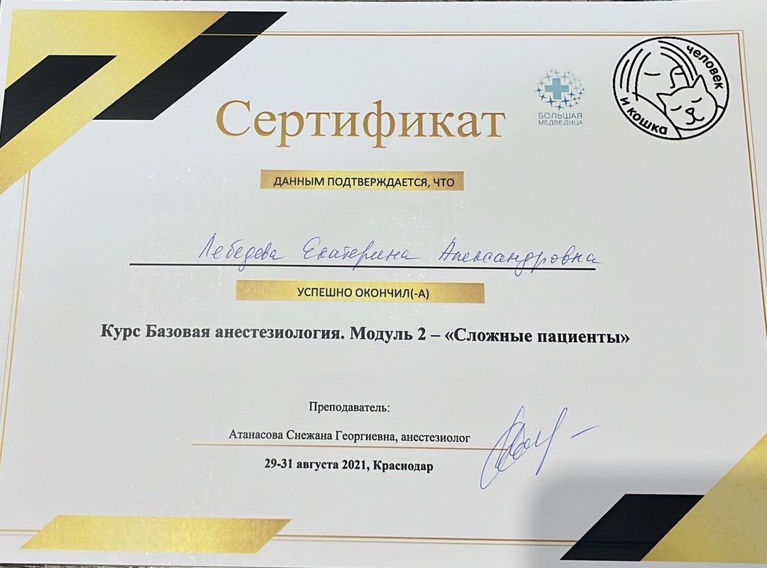 Документ или сертификат