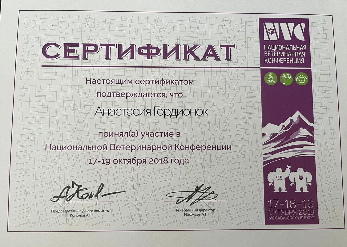 Документ или сертификат