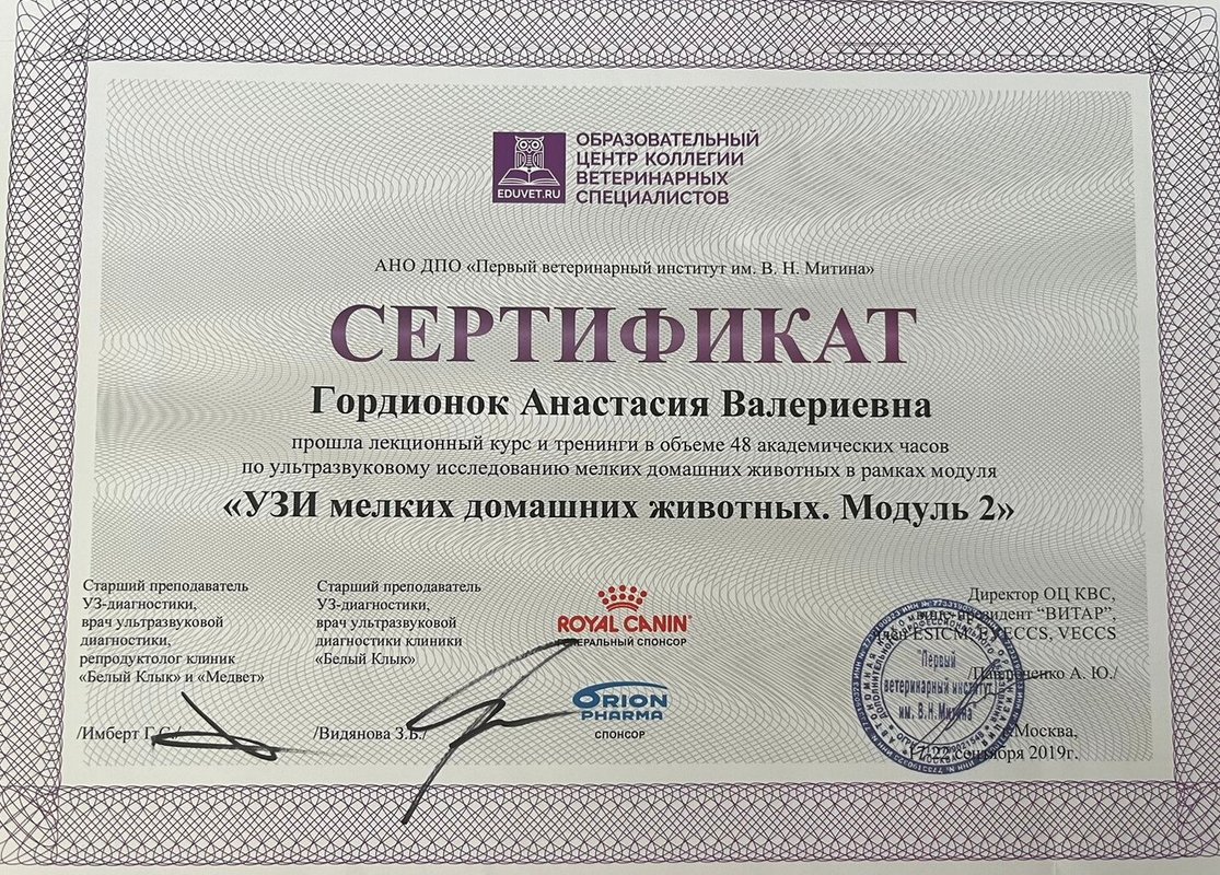 Документ или сертификат