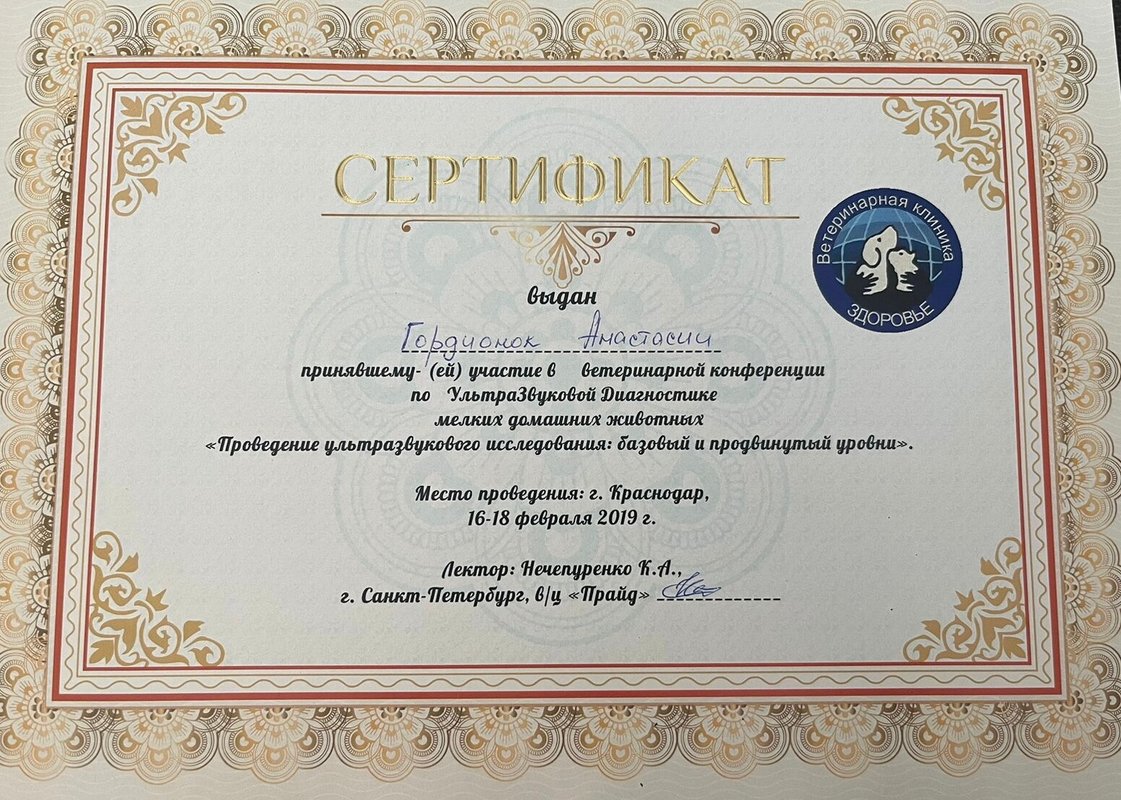 Документ или сертификат