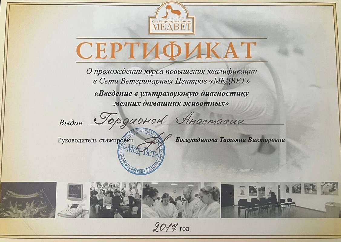 Документ или сертификат