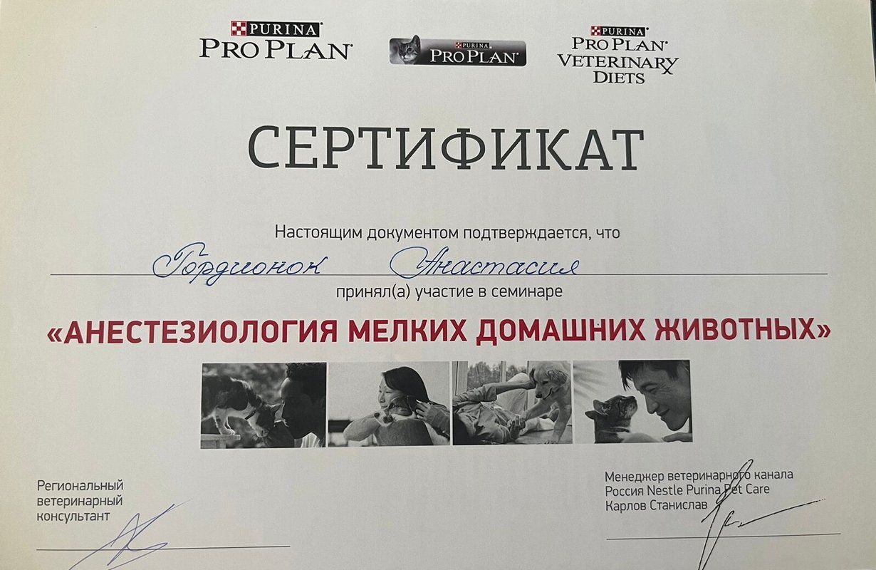 Документ или сертификат