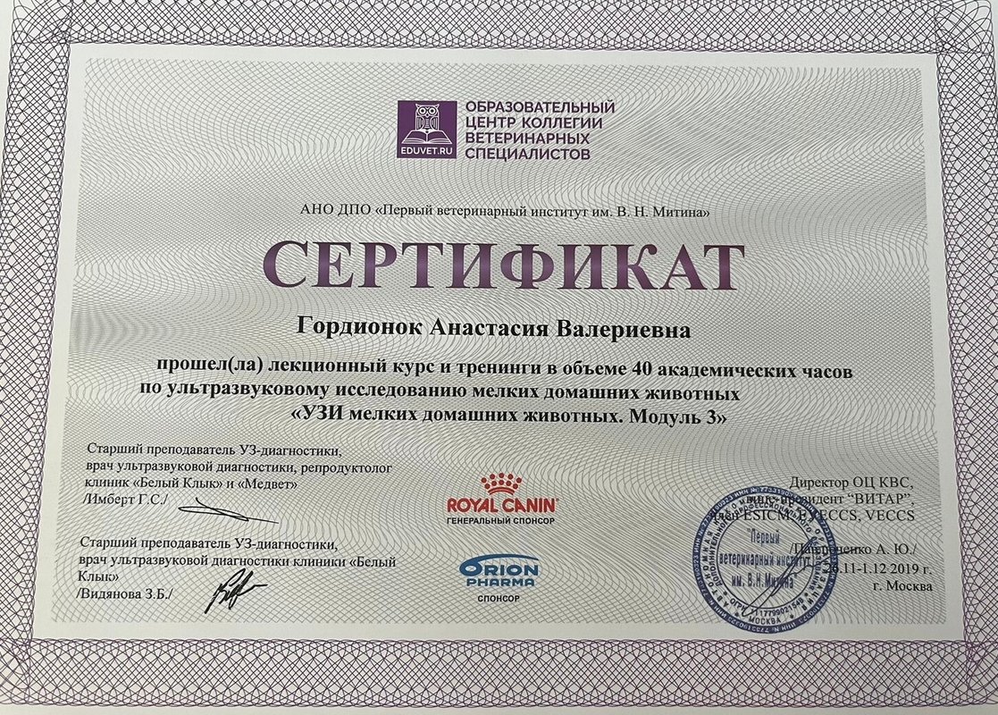 Документ или сертификат
