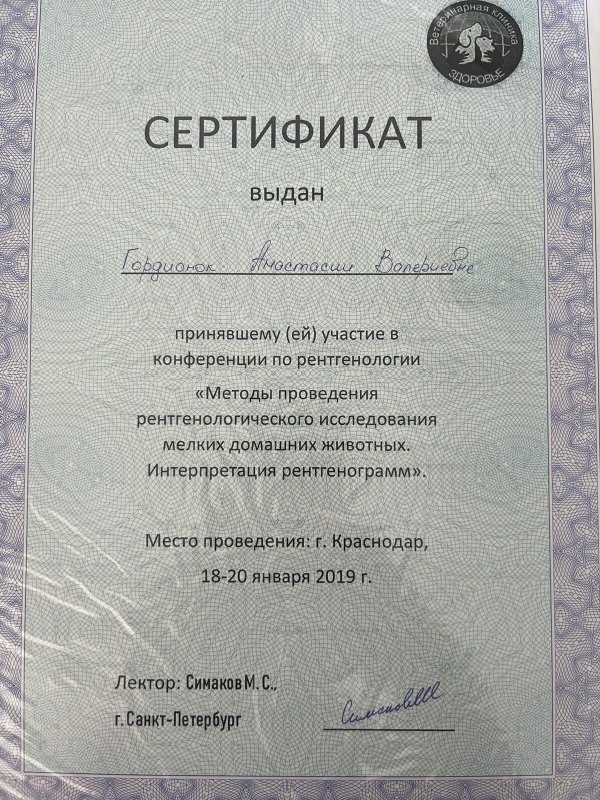 Документ или сертификат