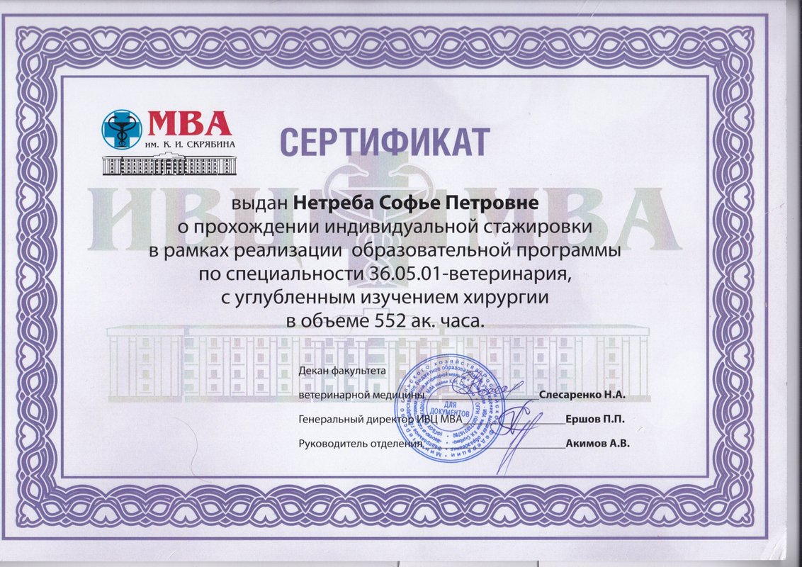 Документ или сертификат