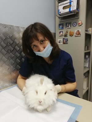 Фото врача Федорова Лариса Николаевна