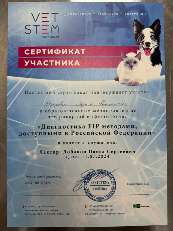 Документ или сертификат