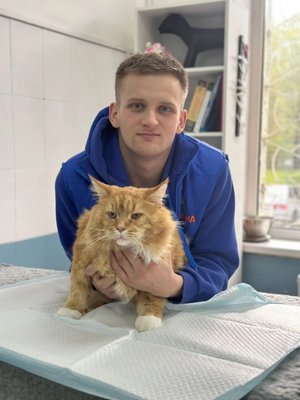 Фото врача Грибин Борис Андреевич