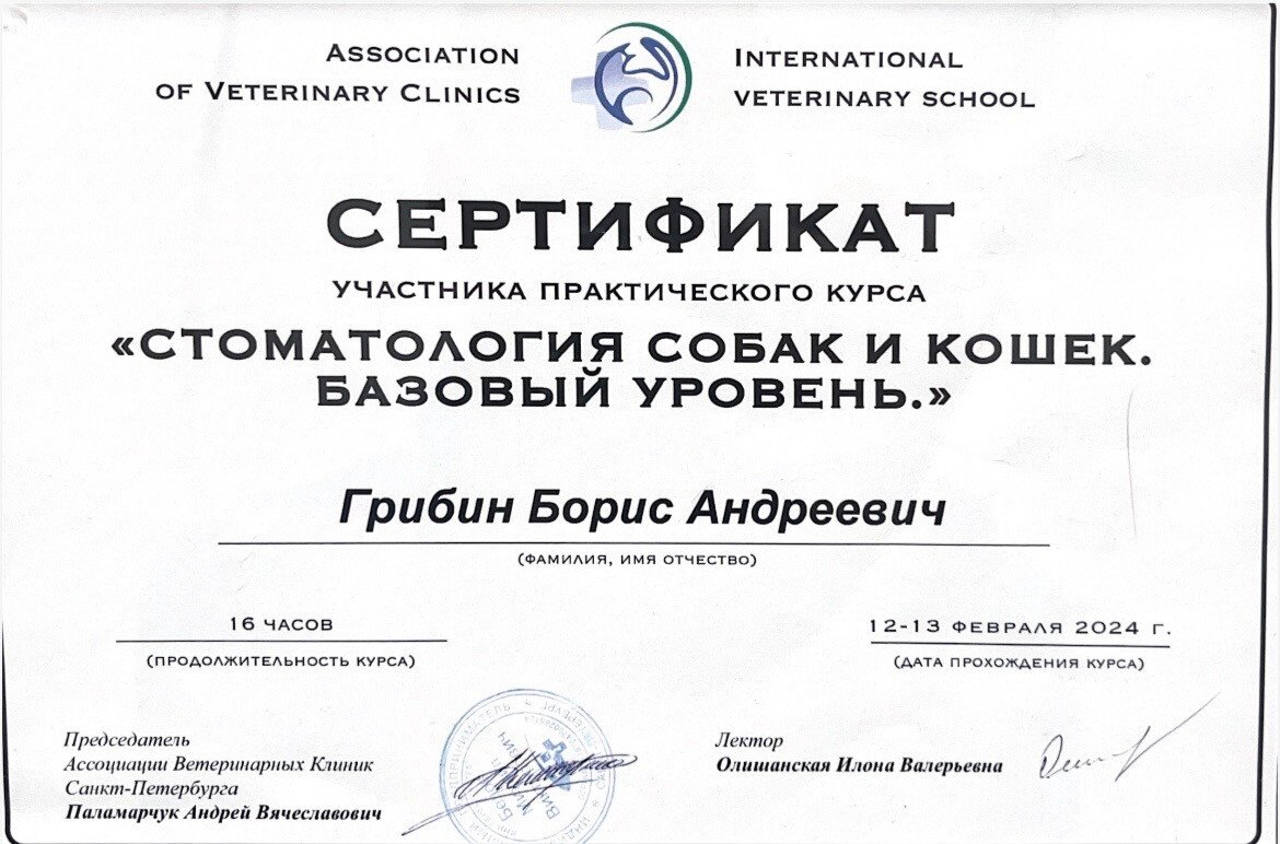 Документ или сертификат