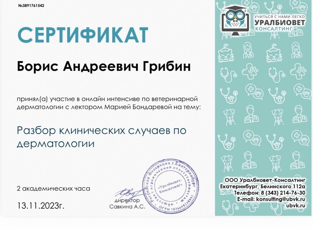 Документ или сертификат