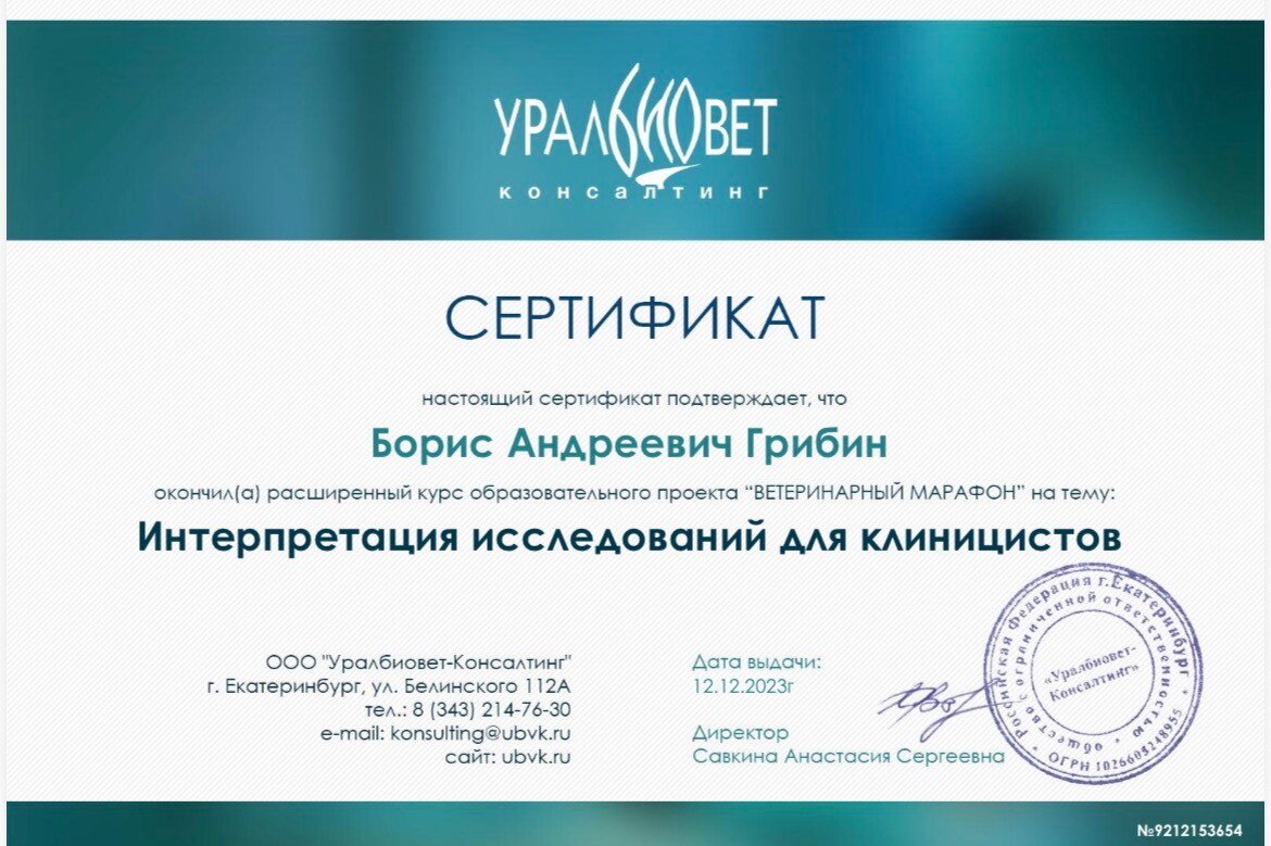 Документ или сертификат