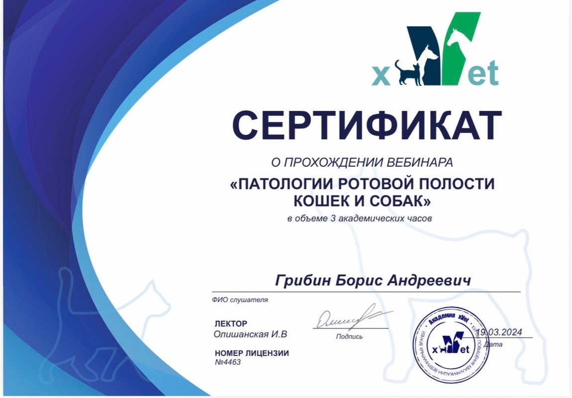 Документ или сертификат