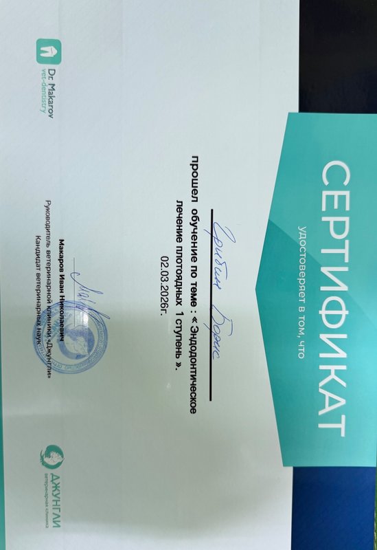 Документ или сертификат