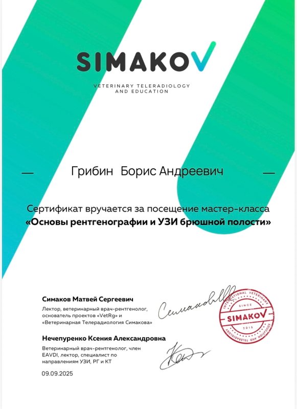 Документ или сертификат