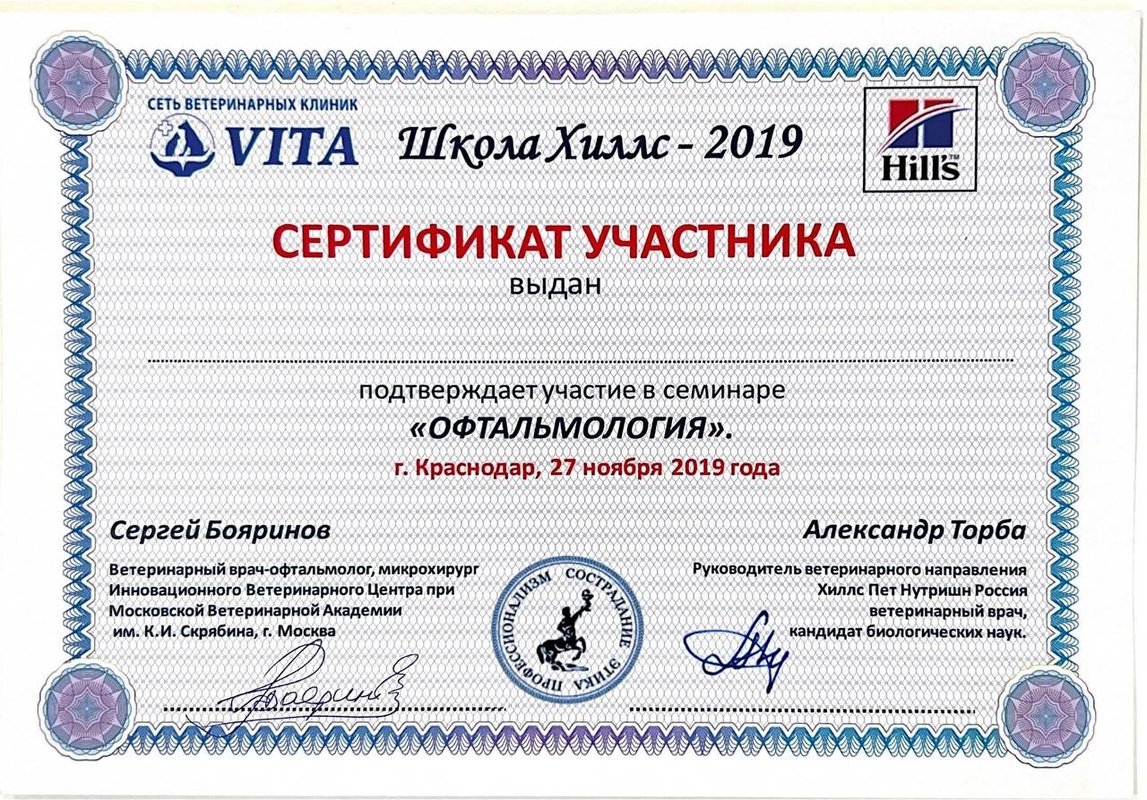 Документ или сертификат
