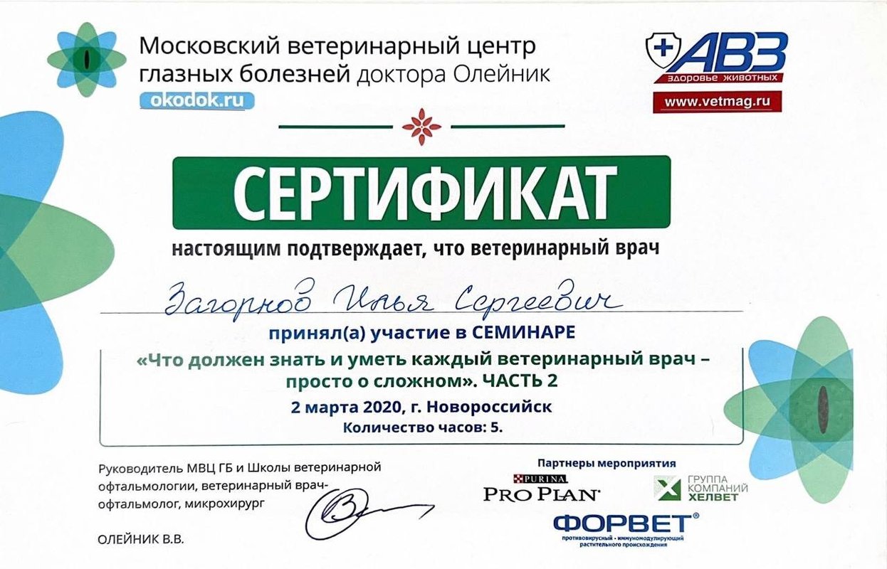 Документ или сертификат
