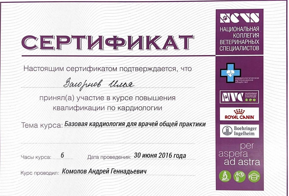 Документ или сертификат
