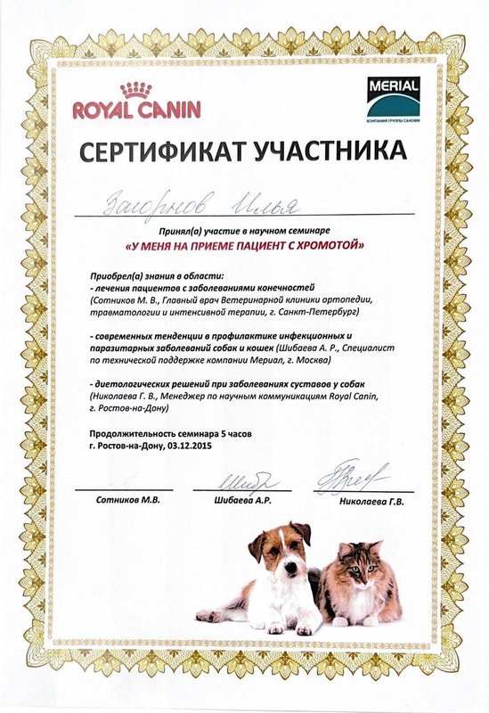Документ или сертификат