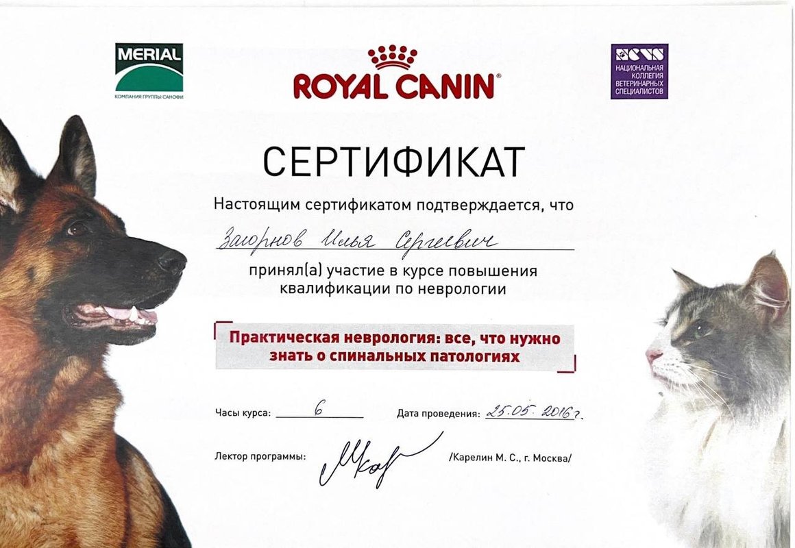 Документ или сертификат