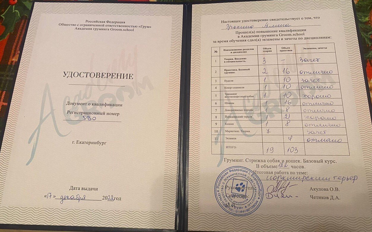 Документ или сертификат