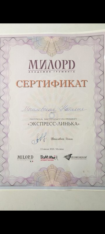 Документ или сертификат